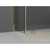 Mexen Exo Fünfeckige Duschkabine mit Schwingtür 100 x 90 cm, transparent, gold - 812-100-090-50-00
