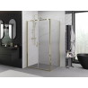 Mexen Exo Duschkabine schwenkbar 70 x 110 cm, transparent, gold - 814-070-110-50-00
