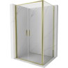 Mexen Exo Schwenkbare Duschkabine 100 x 120 cm, transparent, gold - 814-100-120-50-00