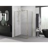 Mexen Exo Duschkabine zum Öffnen 100 x 110 cm, transparent, gold - 819-100-110-50-00