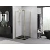 Mexen Exo Duschkabine schwenkbar 110 x 110 cm, transparent, gold - 819-110-110-50-00
