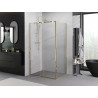 Mexen Exo Duschkabine schwenkbar 145 x 110 cm, transparent, gold - 819-145-110-50-00