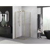 Mexen Exo Schiebeduschkabine 110 x 110 cm, transparent, gold - 8151-110-110-50-00