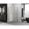 Mexen Exo-BR Duo Duschkabine schwenkbar 110 x 110 cm, transparent, gold - 8182-110-110-50-00