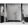 Mexen Lunar Duo Duschdrehtüren 170 cm, transparent, gold - 834D-170-000-50-00