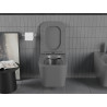 Mexen Teo WC-Schüssel Rimless mit Soft-Close-Slim-Sitz, Duroplast, dunkelgrau matt - 30854071