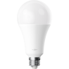 Mexen Nova LED-Glühbirne E27, A70, 20W, Neutral - 4000K, 2100 lm - L100-E27-2040-01