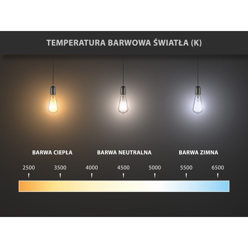 Mexen Nova LED-Glühbirne E27, C37, 5W, Kalt - 6500K, 525 lm - L102-E27-0565-01