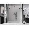 Mexen Lunar L Duo-Duschtüren 190 cm, transparent, Gun Metal - 834DL-190-000-95-00
