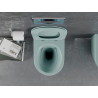 Mexen Lena WC-Schüssel Rimless mit abnehmbarer Slim-Sitzplatte, Duroplast, hellgrün matt - 30224048