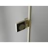Mexen Lunar-B Rechts angeschlagene Duschschwingtür 55 cm, transparent, gold - 832-055-000-50-00-P