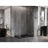 Mexen Lunar L Duo Duschkabine, aufklappbar, rechts, 110 x 100 cm, transparent, gold - 834L-110P-100L-50-00
