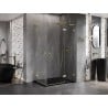 Mexen Lunar L Duo Duschkabine schwenkbar rechts 100 x 85 cm, transparent, gebürstetes Gold - 834L-100P-085L-55-00