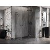 Mexen Lunar L Duo Duschkabine Schwingtür rechts 105 x 70 cm, transparent, gebürstetes Gun Gray - 834L-105P-070L-66-00