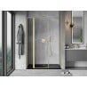 Mexen Mist L Duschdreh­tür 160 cm, transparent, gebürstetes Gold - 8A4L-160-001-55-00