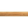Mexen Future Honey Gres glasiert rekt. G1, holzähnliche Boden- und Wandfliese 120 x 20 cm, matt - TL602-120-020-03