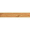 Mexen Future Honey Gres glasiert rekt. G1, holzähnliche Boden- und Wandfliese 120 x 20 cm, matt - TL602-120-020-03