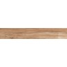 Mexen Indica Brauner glasiert rect. G1, holzähnliche Boden-Wandfliese 120 x 20 cm, matt - TL604-120-020-02