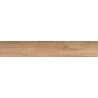 Mexen Indica Brauner glasiert rect. G1, holzähnliche Boden-Wandfliese 120 x 20 cm, matt - TL604-120-020-02