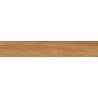 Mexen Lichi  Pine glasiertes Feinsteinzeug rekt. G1, holzähnliche Boden- und Wandfliese 120 x 20 cm, matt - TL606-120-020-03