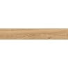 Mexen Meranti Miele glasiertes Feinsteinzeug rekt. G1, holzähnliche Boden- und Wandfliese 120 x 20 cm, matt - TL609-120-020-05