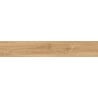 Mexen Meranti Miele glasiertes Feinsteinzeug rekt. G1, holzähnliche Boden- und Wandfliese 120 x 20 cm, matt - TL609-120-020-05