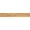 Mexen Meranti Miele glasiertes Feinsteinzeug rekt. G1, holzähnliche Boden- und Wandfliese 120 x 20 cm, matt - TL609-120-020-05
