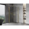 Mexen Mist-B Duo Duschkabine schwenkbar 80 x 80 cm, transparent, gold - 8A2-080-080-50-00