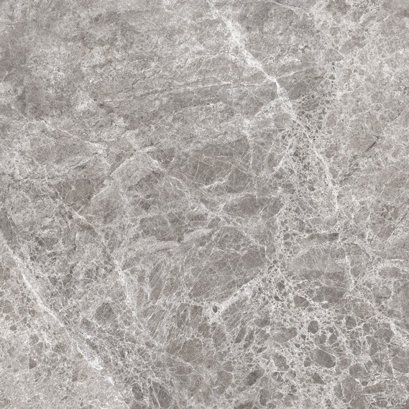 Mexen Lizard Grauer glasiertes Feinsteinzeug rekt. G1, Boden- und Wandfliese 60 x 60 cm, Glanz - TL109-060-060-02