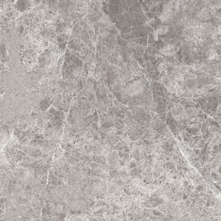 Mexen Lizard Grauer glasiertes Feinsteinzeug rekt. G1, Boden- und Wandfliese 60 x 60 cm, Glanz - TL109-060-060-02