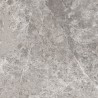 Mexen Lizard Grauer glasiertes Feinsteinzeug rekt. G1, Boden- und Wandfliese 60 x 60 cm, Glanz - TL109-060-060-02