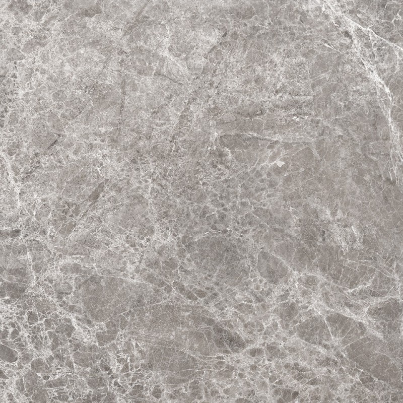Mexen Lizard Grauer glasiertes Feinsteinzeug rekt. G1, Boden- und Wandfliese 60 x 60 cm, Glanz - TL109-060-060-02