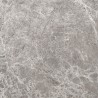 Mexen Lizard Grauer glasiertes Feinsteinzeug rekt. G1, Boden- und Wandfliese 60 x 60 cm, Glanz - TL109-060-060-02