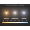 Mexen Nova 3x LED-Glühbirne E14, G45, 1W, Warm - 3000K, 105 lm - L101-E14-0130-01x03