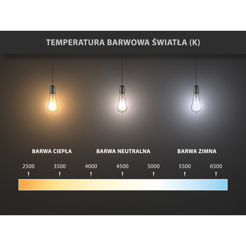 Mexen Nova 3x LED-Glühbirne E14, G45, 5W, Warm - 3000K, 525 lm - L101-E14-0530-01x03