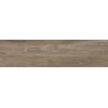Mexen Riga Natürlicher, glasierter, rektifizierter Gres G1, holzähnliche Wand- und Bodenplatte 120 x 30 cm, matt