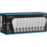 Mexen Nova 10x LED-Glühbirne E27, G45, 8W, Kalt - 6500K, 840 lm - L101-E27-0865-01x10
