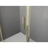 Mexen Exo-3S Duschkabine 3-seitig schwenkbar 75 x 100 cm, transparent, gold - 8181-075-100-50-00-3S