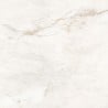 Mexen Brakel Gold glasiertes, kalibriertes Feinsteinzeug G1, Boden- und Wandfliese 60 x 60 cm, glänzend - TL110-060-060-00