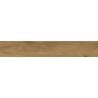 Mexen Avocado Nocciola Muster glasiertes rektifiziertes Feinsteinzeug G1, holzähnliche Boden- und Wandfliese, matt - TL601-04-S
