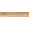 Mexen Future Natilla Probe rektifizierte glasierte Feinsteinzeugfliese. G1, holzähnliche Boden-Wand-Fliese, matt - TL602-04-S