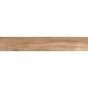 Mexen Indica Braunes Probeexemplar von glasiertem Feinsteinzeug rekt. G1, holzähnliche Fliesen für Boden und Wand, matt