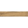 Mexen Jasperwood Almond Probe von glasiertem Steinzeug rekt. G1, holzähnliche Boden-Wandfliese, matt - TL605-00-S