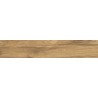 Mexen Jasperwood Almond Probe von glasiertem Steinzeug rekt. G1, holzähnliche Boden-Wandfliese, matt - TL605-00-S