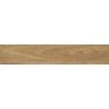 Mexen Jasperwood Almond Probe von glasiertem Steinzeug rekt. G1, holzähnliche Boden-Wandfliese, matt - TL605-00-S