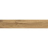 Mexen Jasperwood Almond Probe von glasiertem Steinzeug rekt. G1, holzähnliche Boden-Wandfliese, matt - TL605-00-S