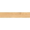 Mexen Jasperwood Beige Probe des glasierten rek. G1 Feinsteinzeugs, holzähnliche Boden-Wandfliese, matt - TL605-01-S