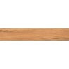 Mexen Jasperwood Nach Probe glasierte Feinsteinzeugfliese rekt. G1, holzähnliche Boden- und Wandfliese, matt - TL605-03-S