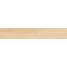 Mexen Liston Avorio Probe von glasiertem Feinsteinzeug rekt. G1, holzähnliche Boden- und Wandfliese, matt - TL607-00-S