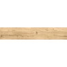 Mexen Lumiere Eiche Probe glasiertes Feinsteinzeug rekt. G1, holzähnliche Fliese für Boden und Wand, matt - TL608-03-S